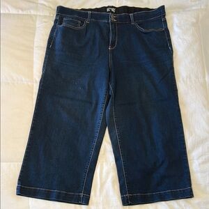 Terra & Sky Blue Ankle Cropped Denim